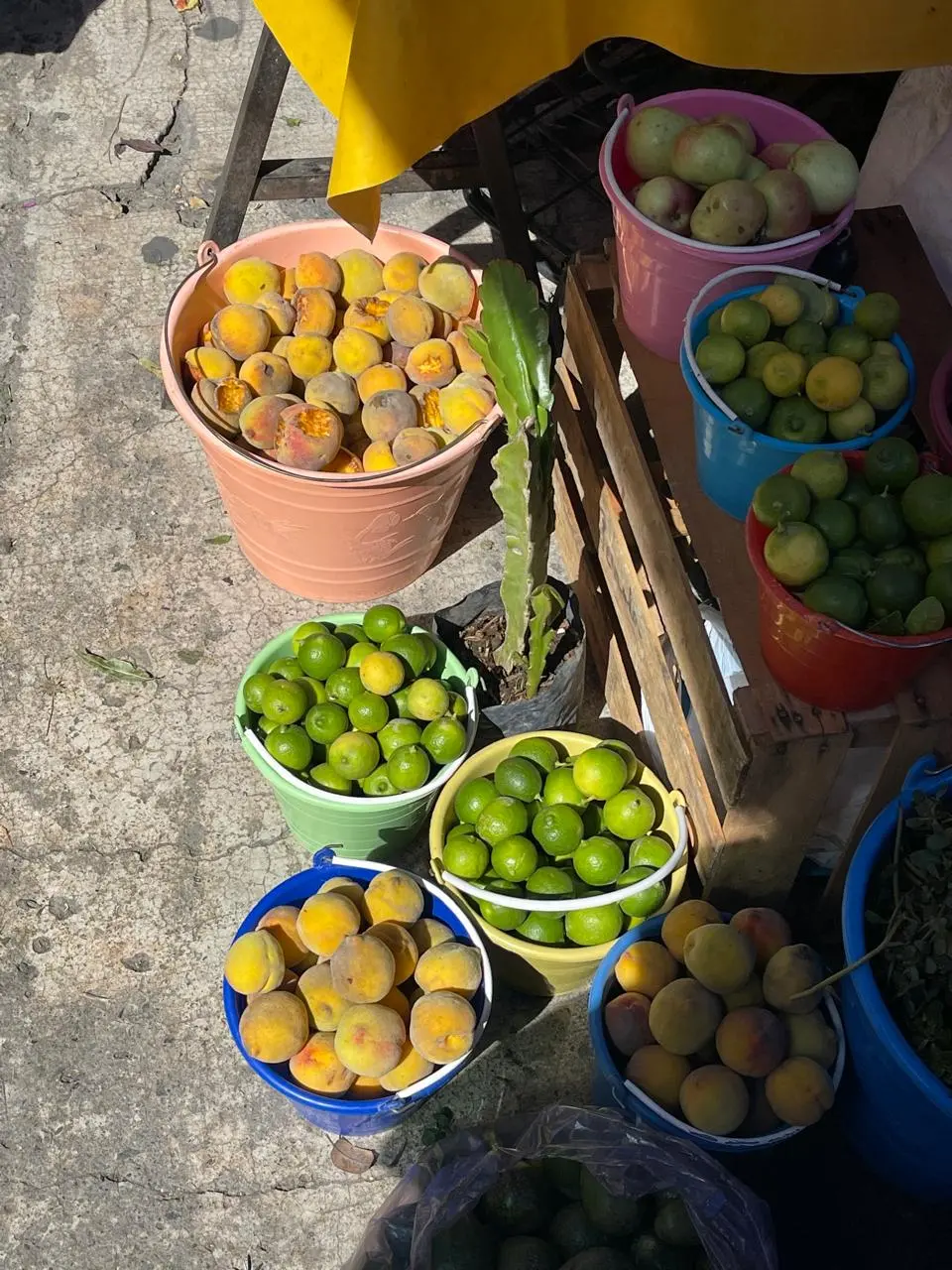 Mercado Ozumba